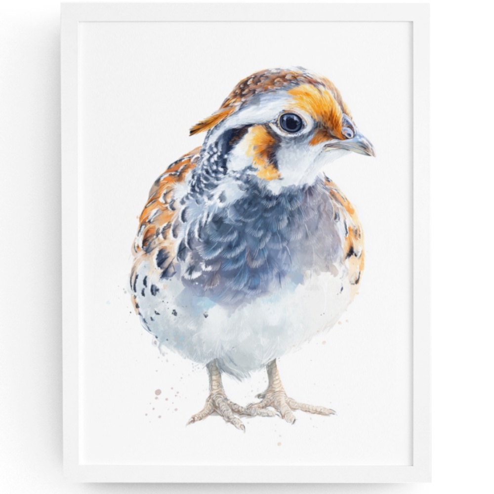 Watercolor Quail Wall Art Print, Unframed - Vibrant Nature-Inspired Home Decor